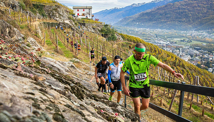 Valtellina Wine Trail